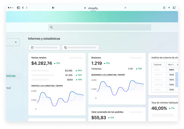 Shopify dashboard